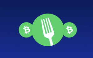 What Is a Blockchain Hard Fork?