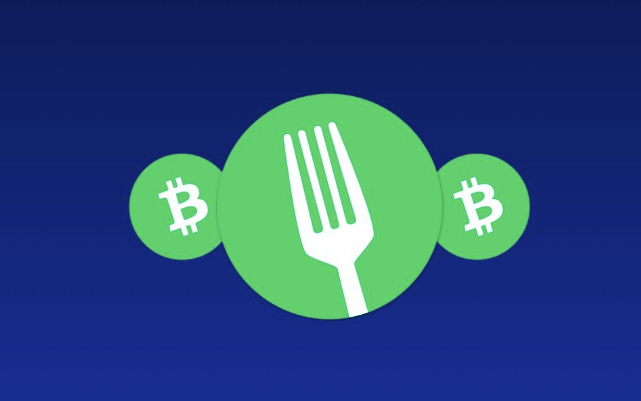 What Is a Blockchain Hard Fork?